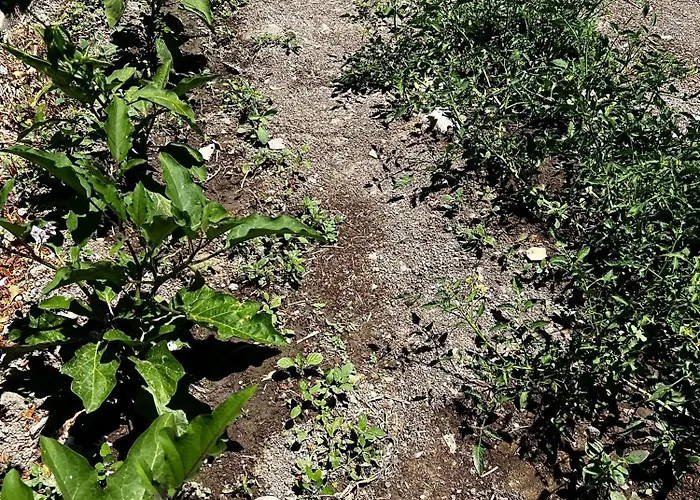 Kaizer Bed and Breakfast Amargeti