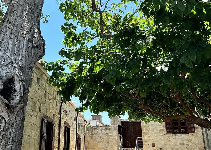 Bed and Breakfast Kaizer Amargeti